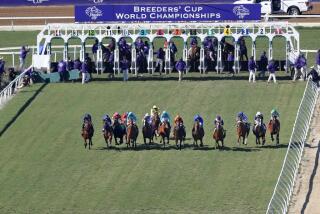 Del Mar’s turf course is scheduled to host seven stakes races on the final two days of the meeting.