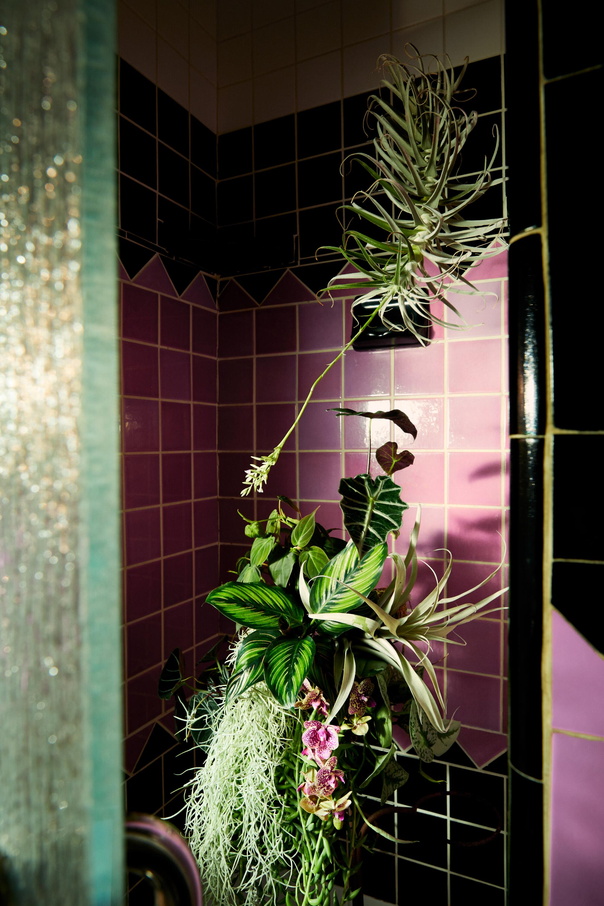 Plants are installed as an art piece in a tiled bathroom.