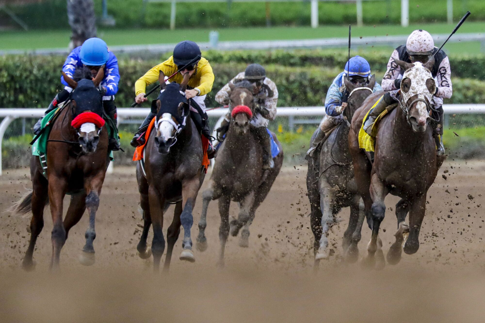 Horses race at Santa Anita Park in September 2019.