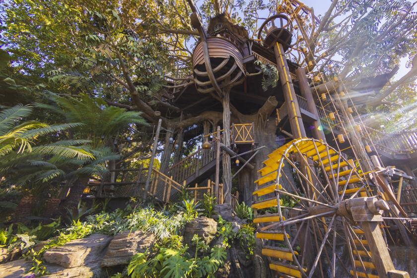 The waterwheel of the Adventureland Treehouse carries buckets of water up the tree. 