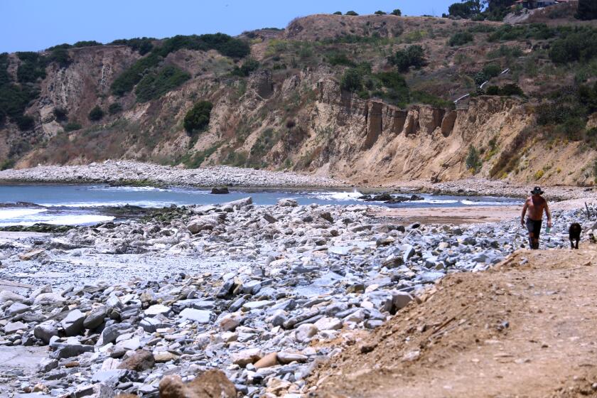 PALOS VERDES, CA - JUNE 21, 2024 - A resident walks next to an area where land upheaval has lifted bentonite from below the ocean becoming a rocky coastline due to the ongoing landslide in the Portuguese Bend Beach Club neighborhood in Palos Verdes on June 21, 2024. (Genaro Molina/Los Angeles Times)
