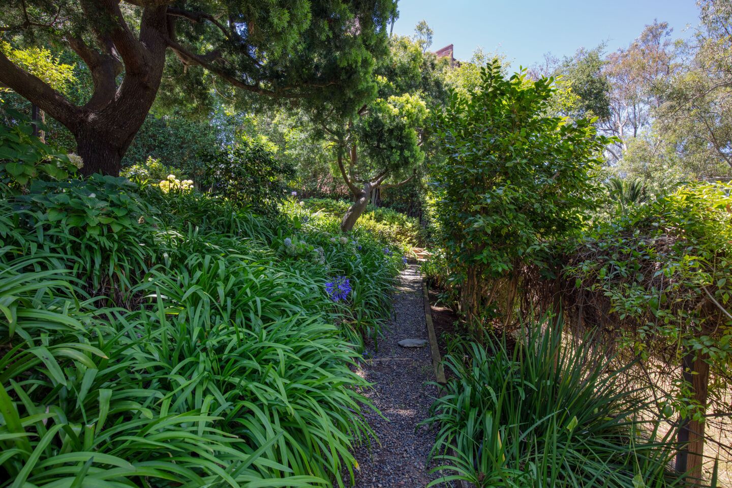 Geena Davis' Pacific Palisades house: backyard