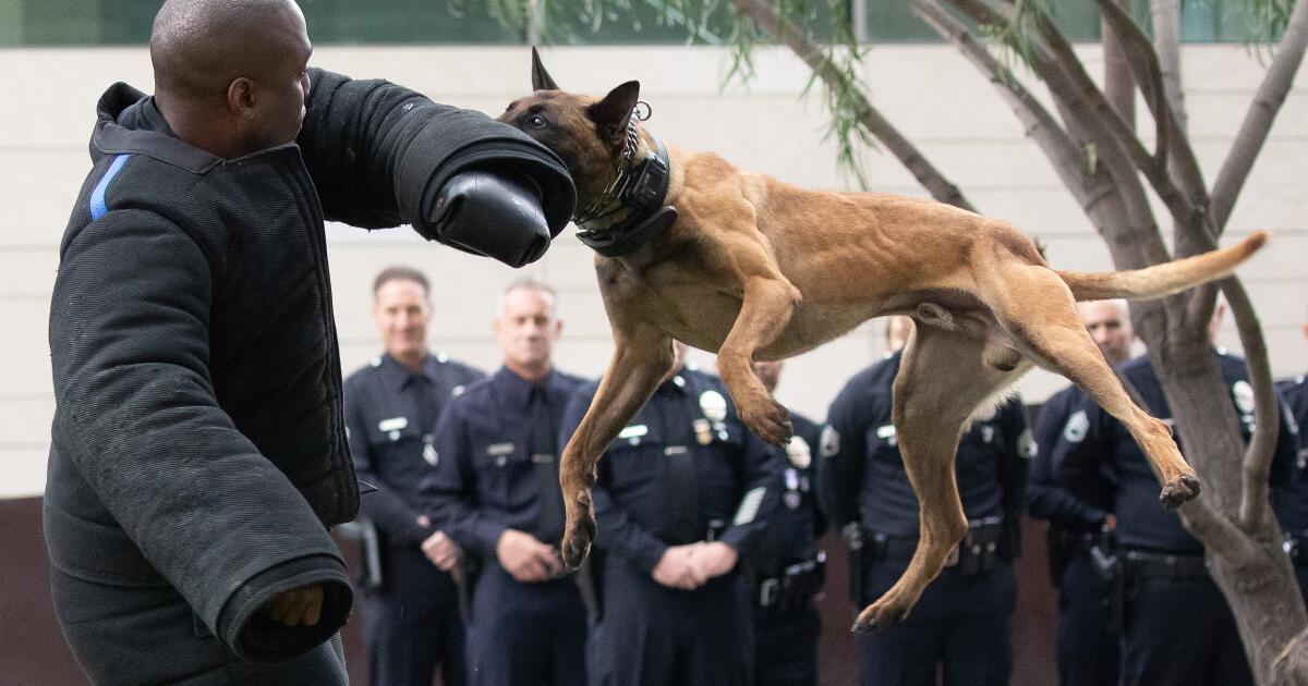 California must limit law enforcement use of canines, ACLU report says - Los Angeles Times