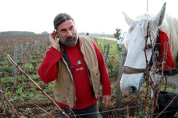 Making "natural" wines