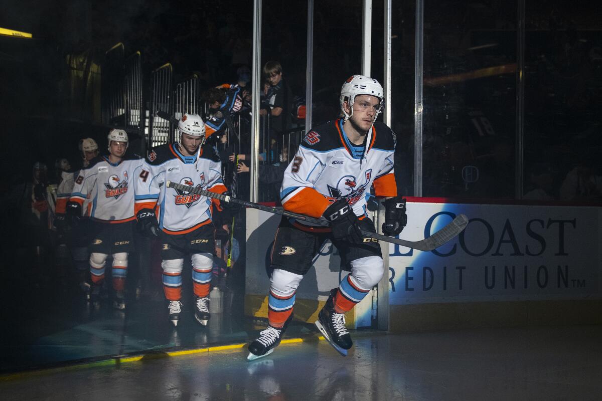 San Diego Gulls defenseman Brogan Rafferty takes the ice.