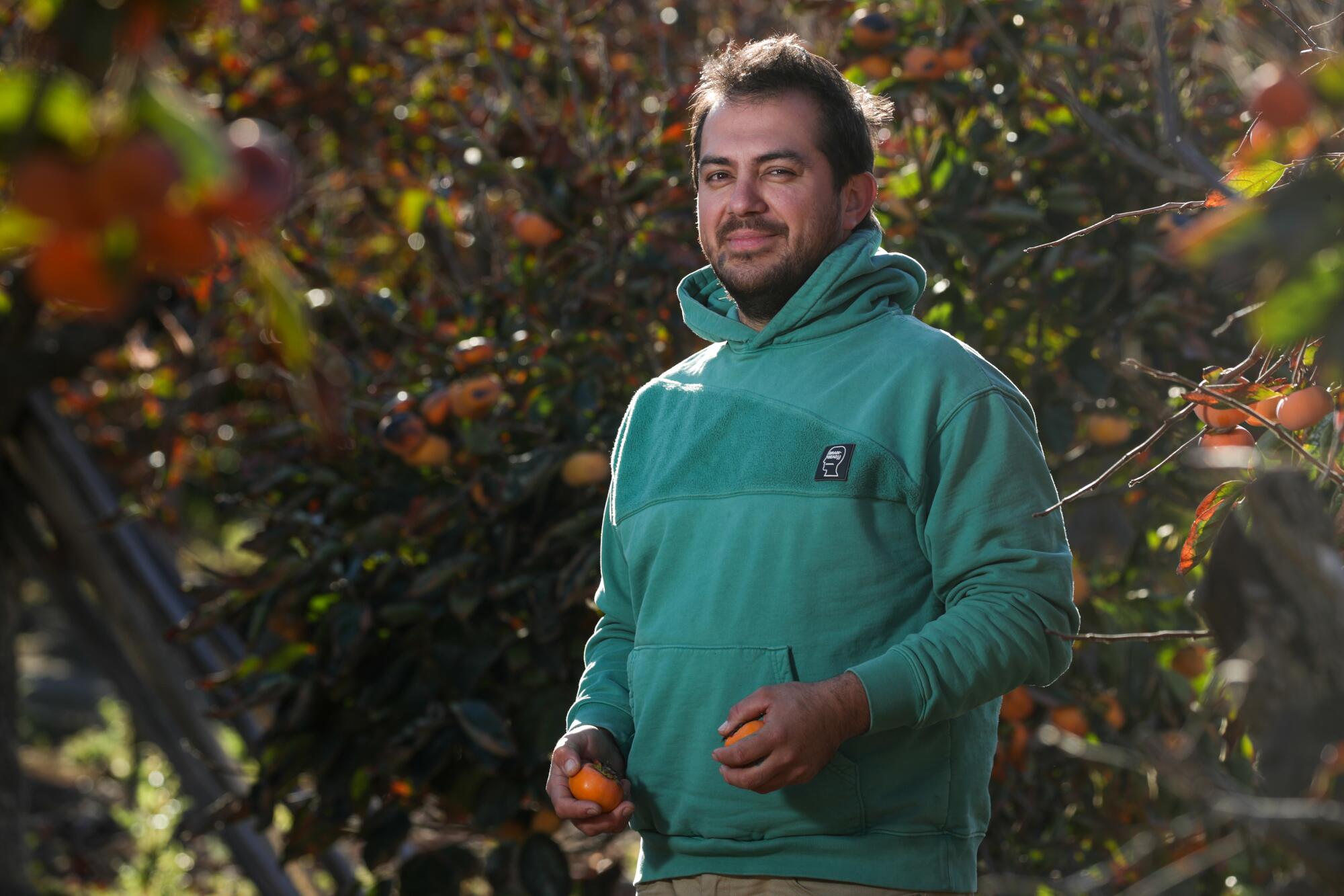 A man stands in an orchard, holding orange fruit in both hands