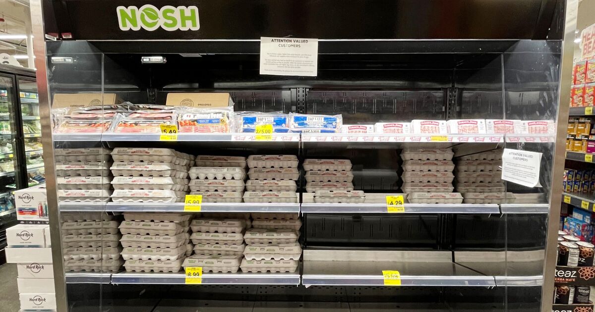 Pourquoi les œufs coûtent plus cher en Californie que partout ailleurs