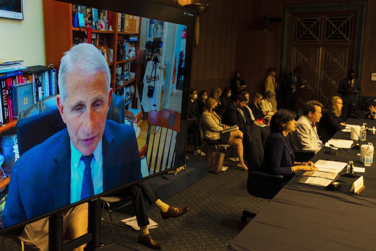 A man is seen in closeup on a large video screen next to people seated. 