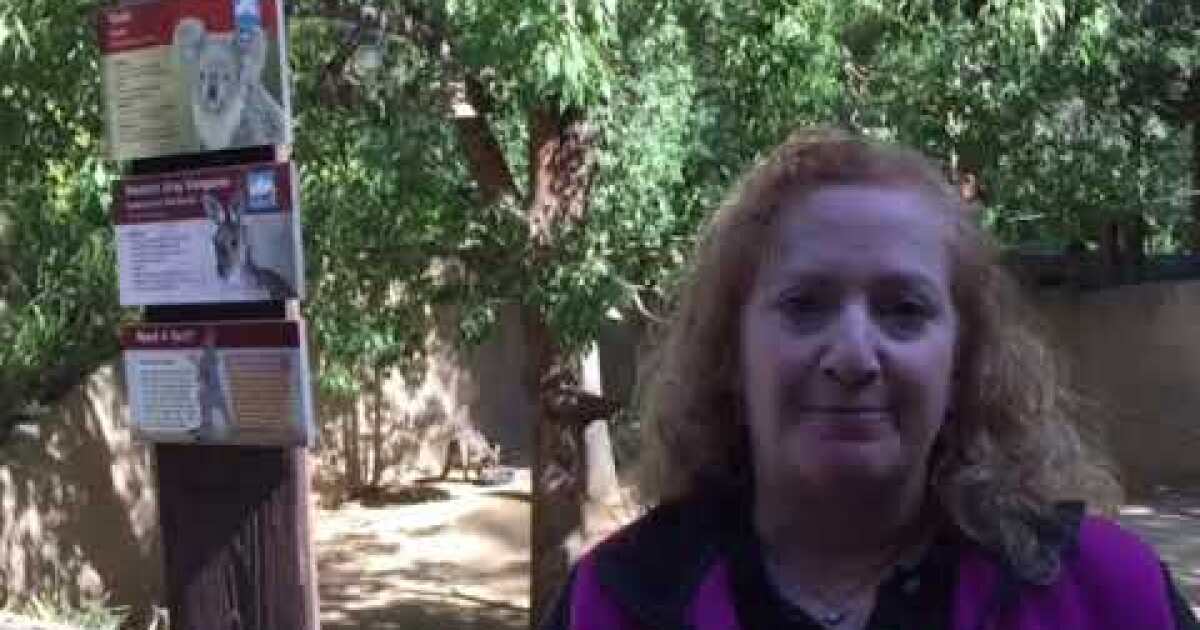 Koala killed by predator at la zoo