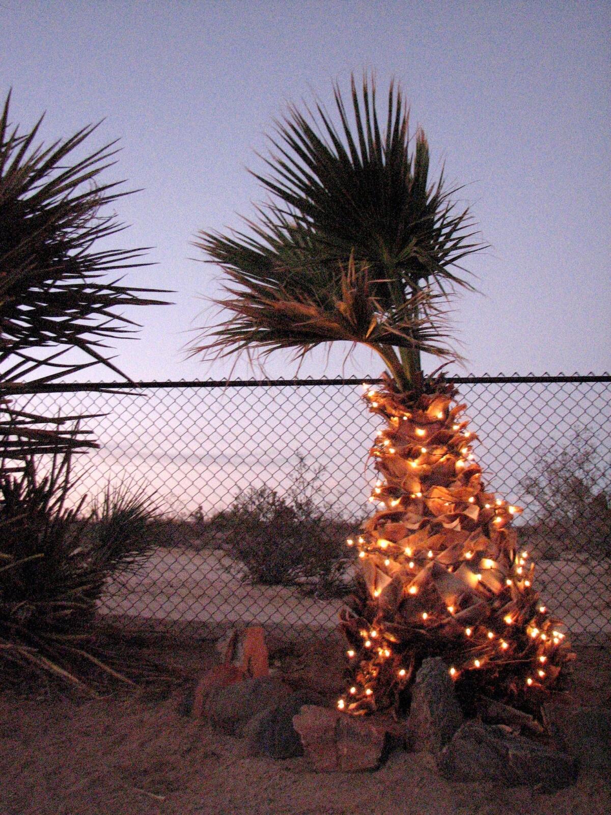 A transplanted New Englander adjusts to celebrating the holidays in Southern California.