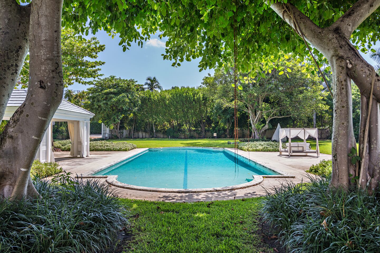 A leafy backyard with a big pool
