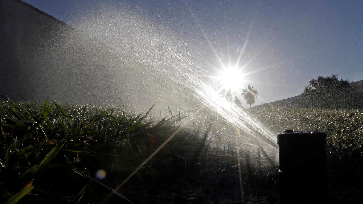 A sprinkler irrigates a lawn in Sacramento in 2015. The state is moving ahead with an experimental lifting of mandatory water rationing.