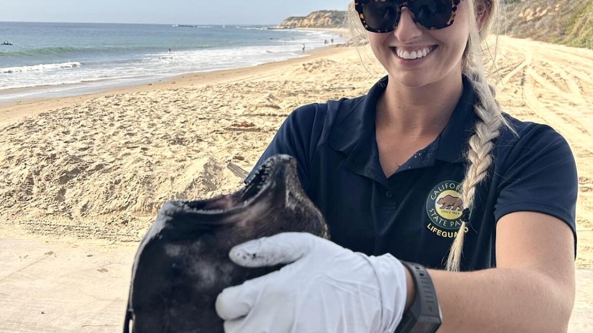Rare football fish found at Crystal Cove, the second one in 3 years, now in  the hands of researchers - Los Angeles Times