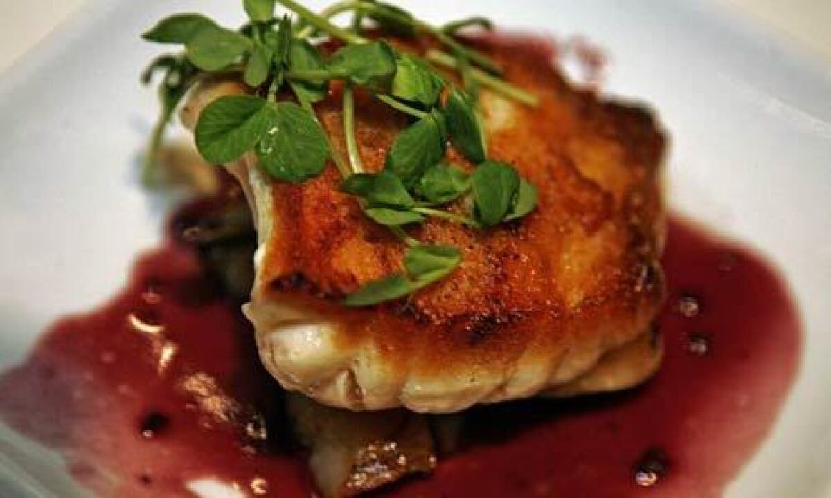 Blue-nose sea bass with braised sunchokes in red wine sauce.