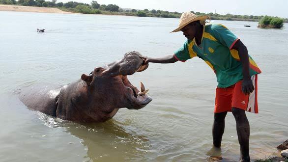 Monday: Day in photos - Cameroon