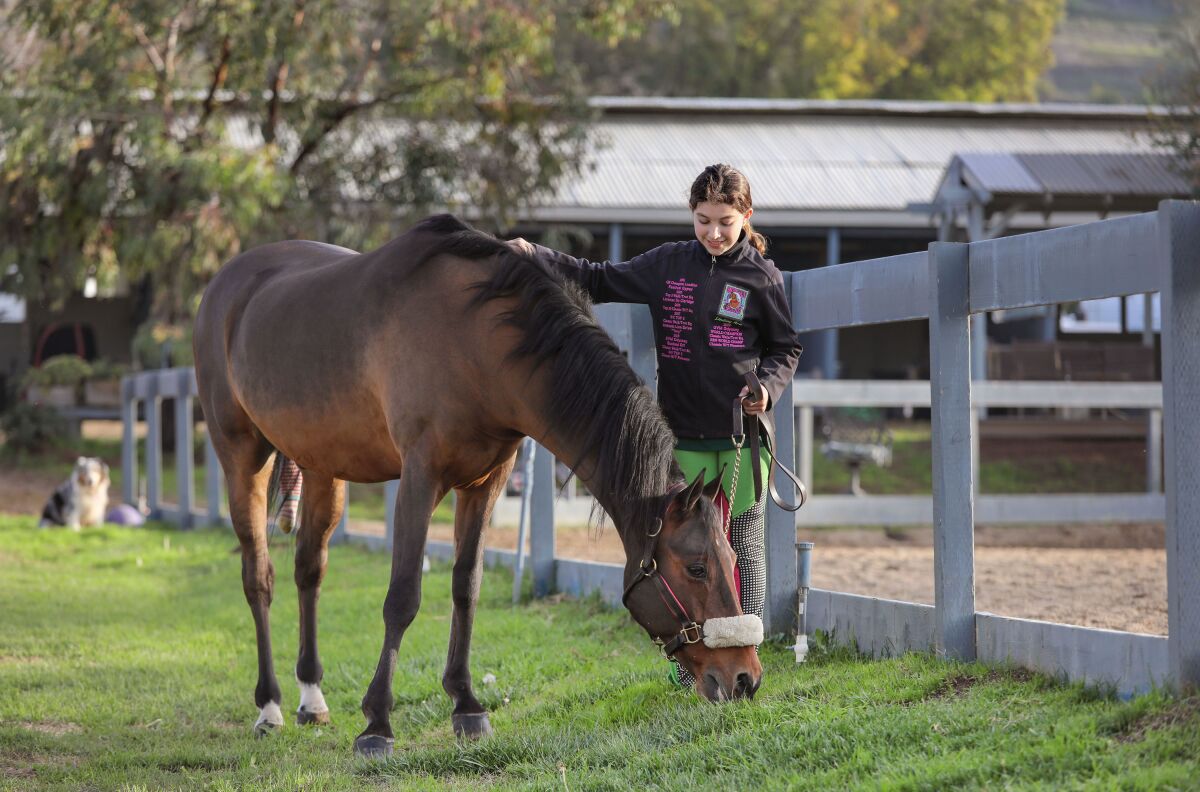 December 11, 2019, Escondido, California_USA_| Lindsay Heliker walks with her horse named Odyssey as he eats the fresh grass at Miller Equestrian Services. |_Photo Credit: Photo by Charlie Neuman