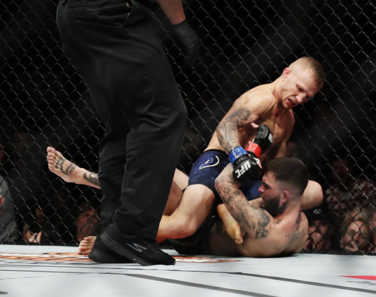 T.J. Dillashaw hits Cody Garbrandt wtih a barrage of punches during ther bantamweight title fight.