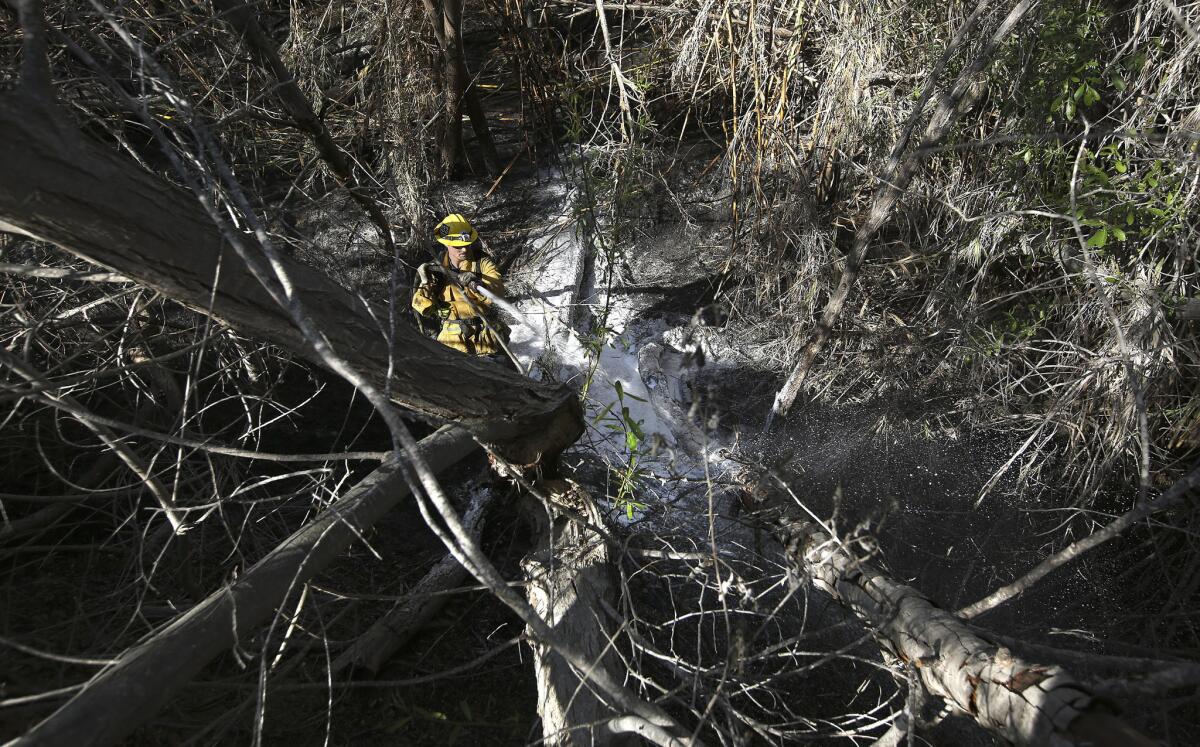 Ventura County firefighter Marc Mangino puts out hot spots March 13 after a brush fire burned 22 acres in the Ventura River bed.