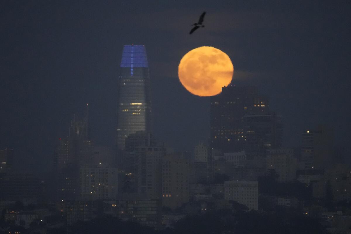 A strawberry moon rises behind the San Francisco skyline