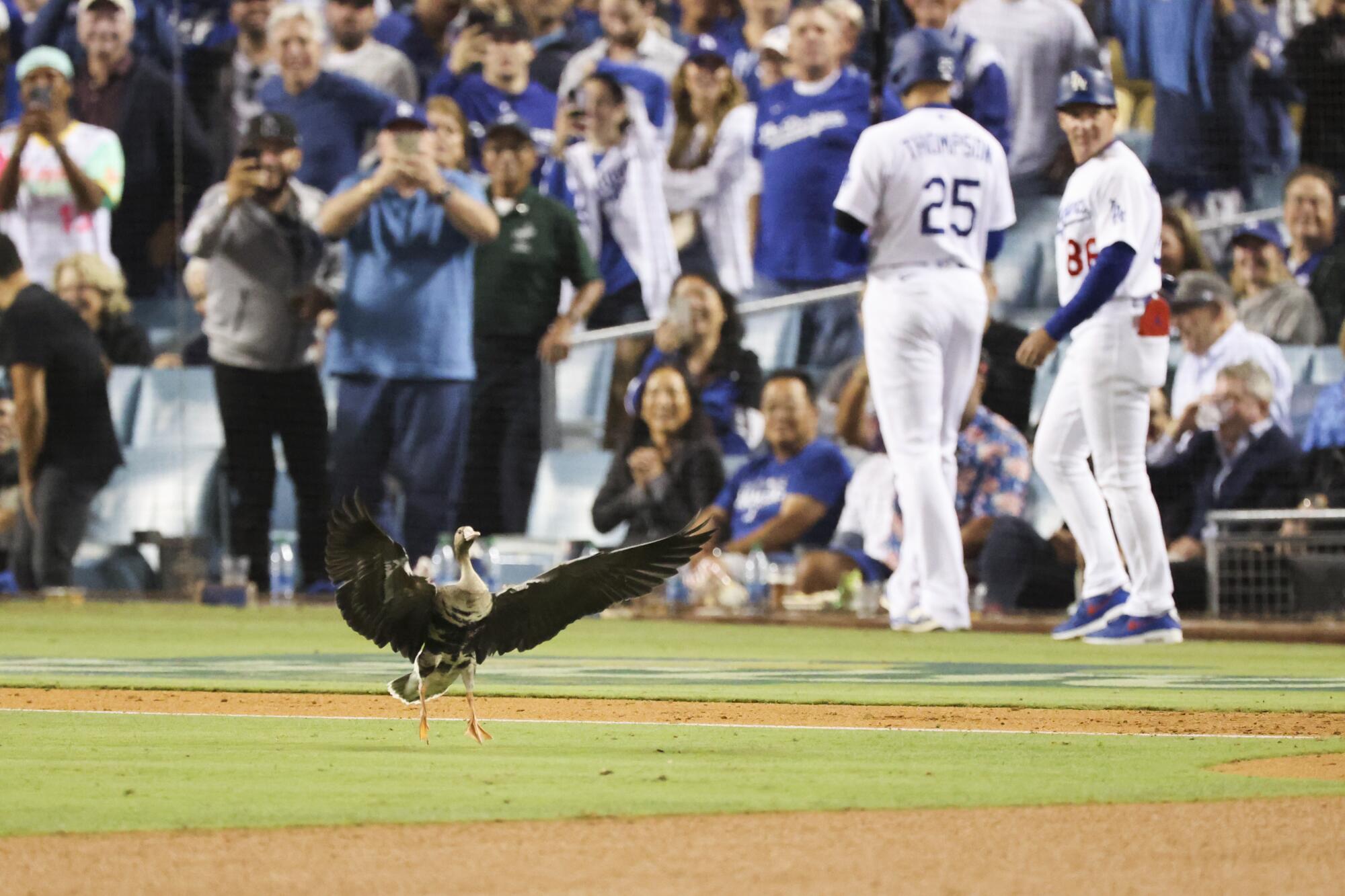 and lands on the infield.