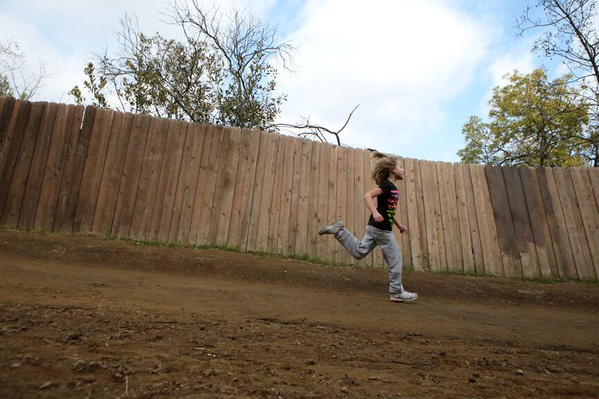 L.A. Walks: Footloose in Fryman Canyon