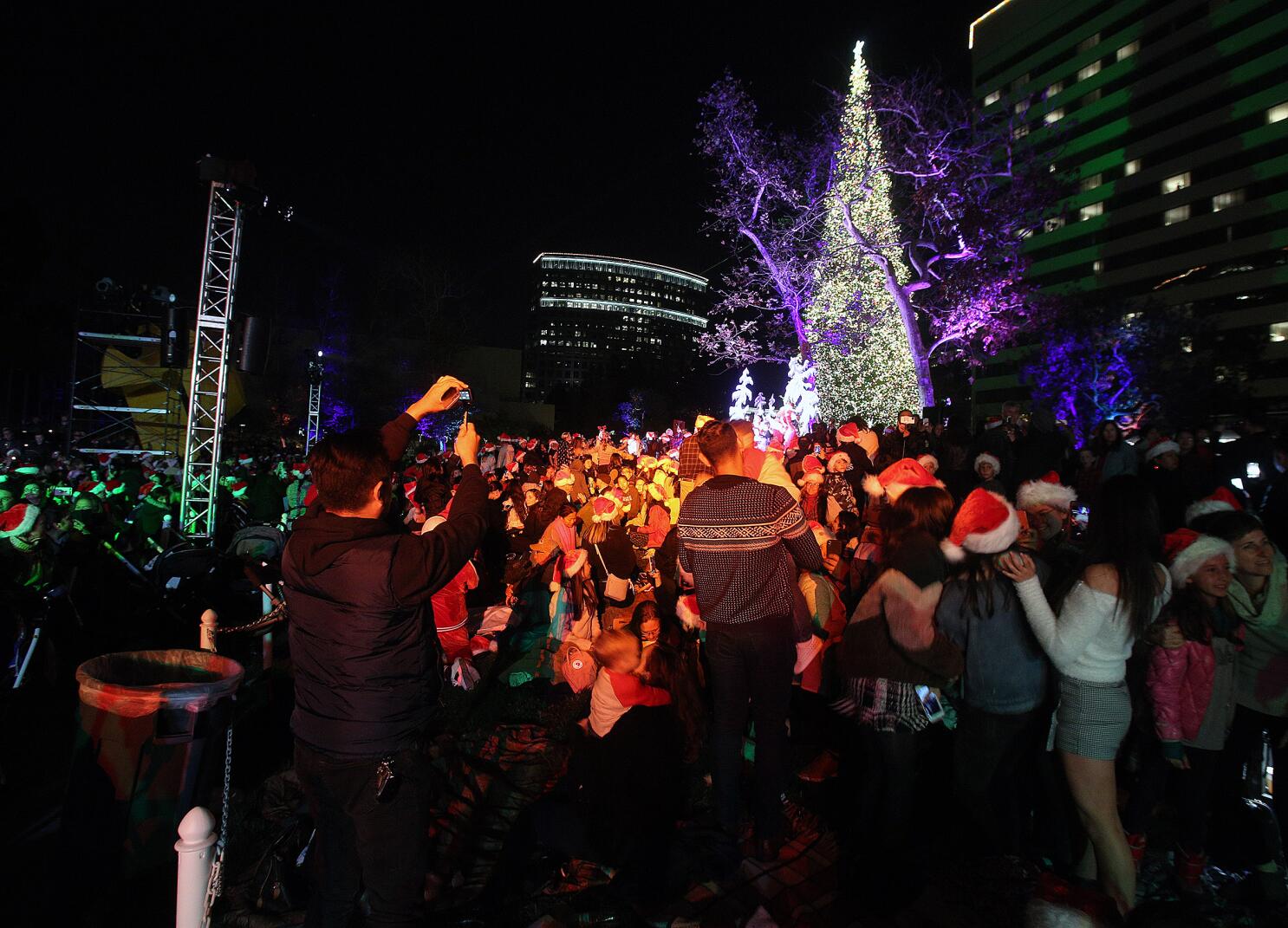 South Coast Plaza celebrates holidays with 36th annual tree lighting - Los  Angeles Times