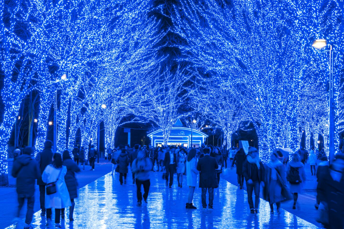 Last year's "Blue Cave" theme at the illumination event in the Shibuya ward of Tokyo featured 600,000 blue LED lights in Yoyogi Park.