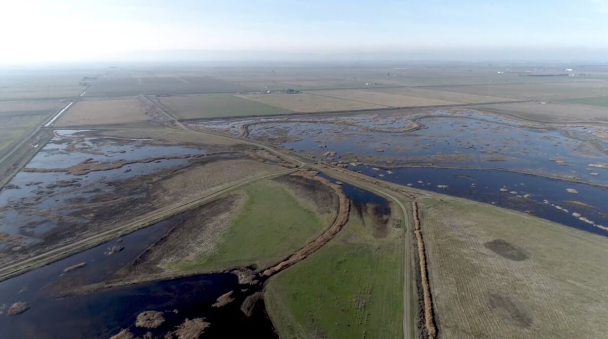Aerial view of the Lower Yolo Ranch Tidal Habitat Restoration Project