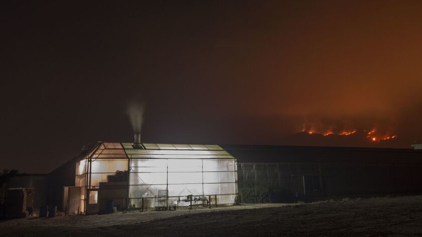 Southern California Wildfires Forces Thousands to Evacuate