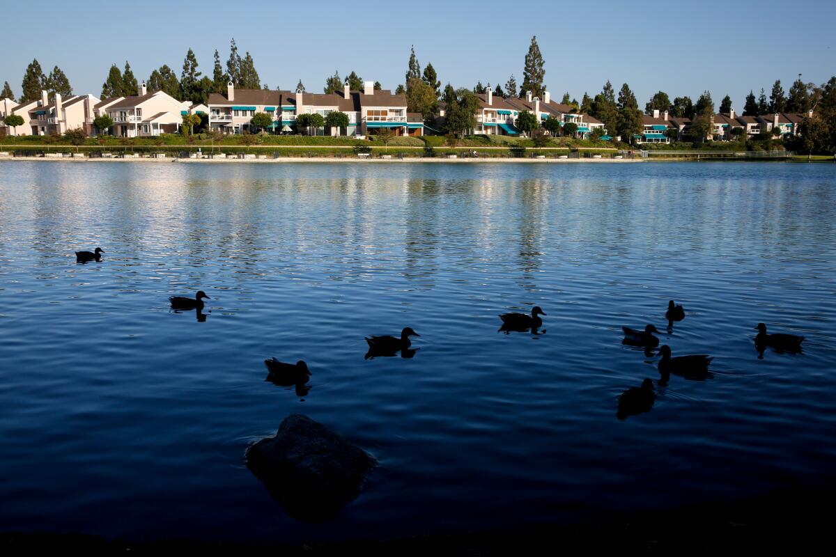 A view of North Lake Park in the Woodbridge community of Irvine.