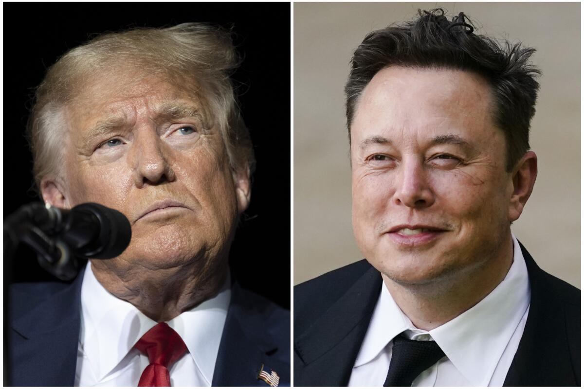 Side-by-side portraits of Donald Trump and Elon Musk.