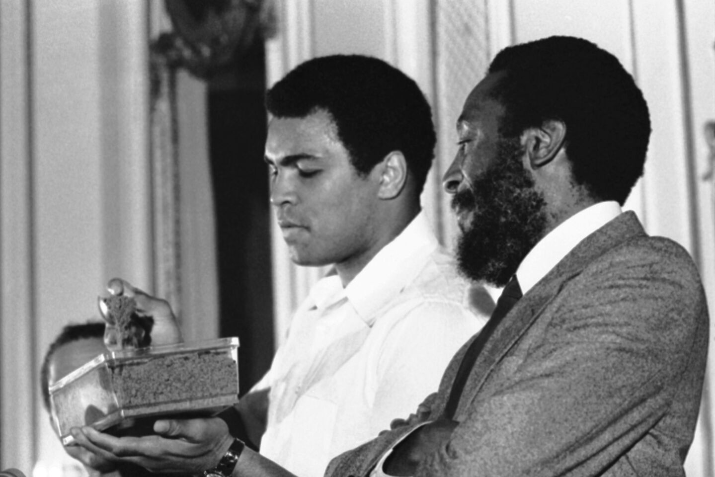 Boxing Champion Muhammad Ali spoons through a dish of health food he was promoting for Dick Gregory, right, at a Chicago press conference in1978.