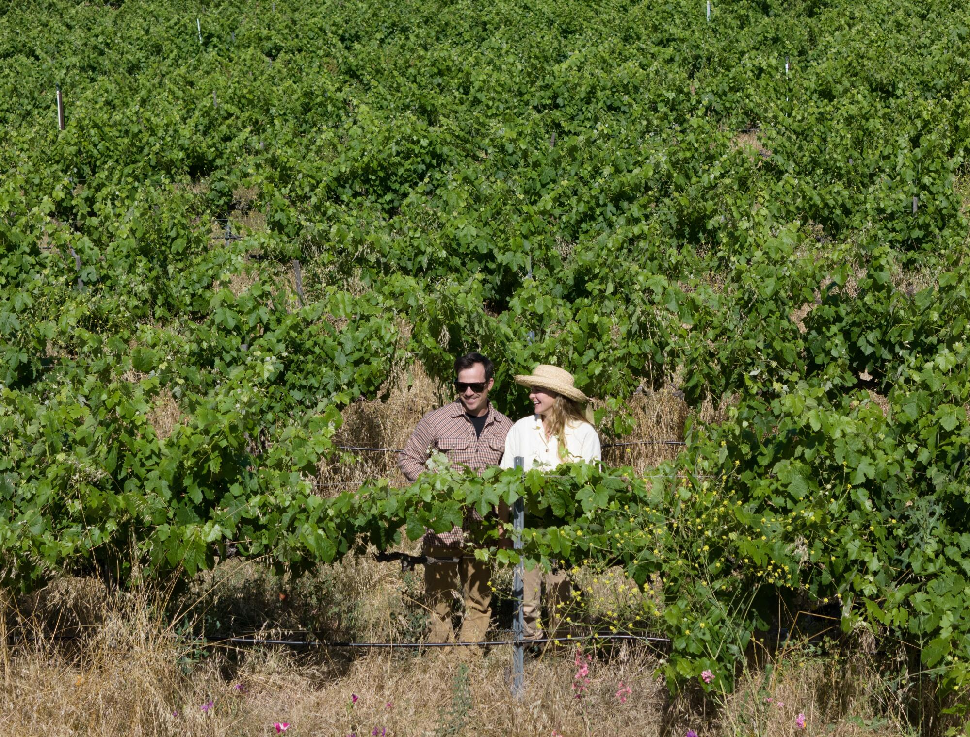 Alice Anderson and partner, Topher De Felice, amid their vineyard rows.