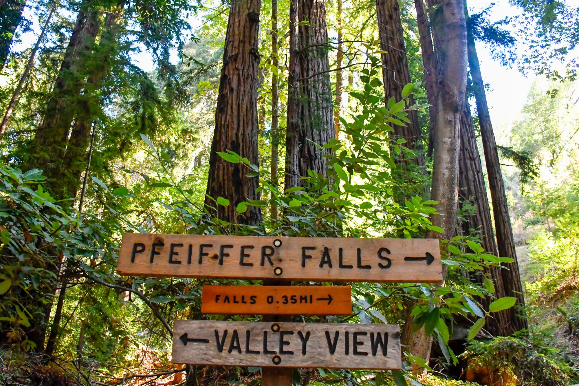Pfeiffer Big Sur State Park, at mile marker 47.2, includes hiking trails, a waterfall and the Big Sur Lodge. 
