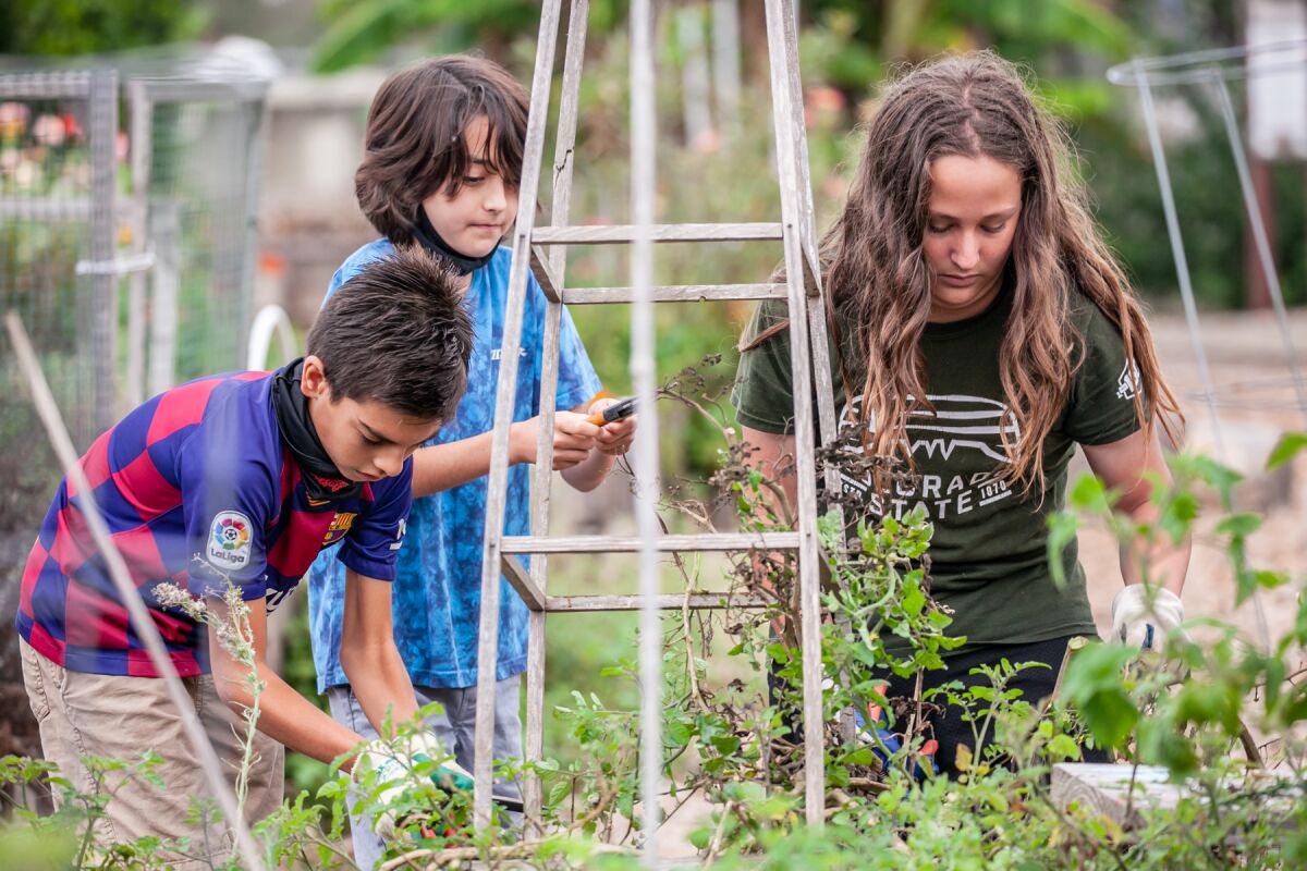 Ocean Knoll students in the garden.