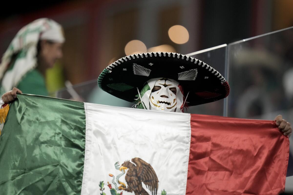 A Mexican fan holds his national flag 