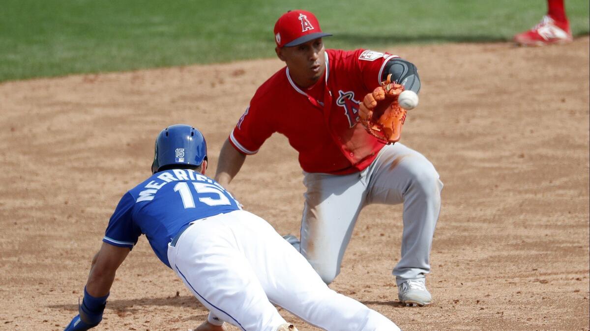 Kansas City's Whit Merrifield dives back on a pickoff attempt as Los Angeles Angels' Wilfredo Tovar makes the catch during a spring training game in Surprise, Ariz., on March 7.