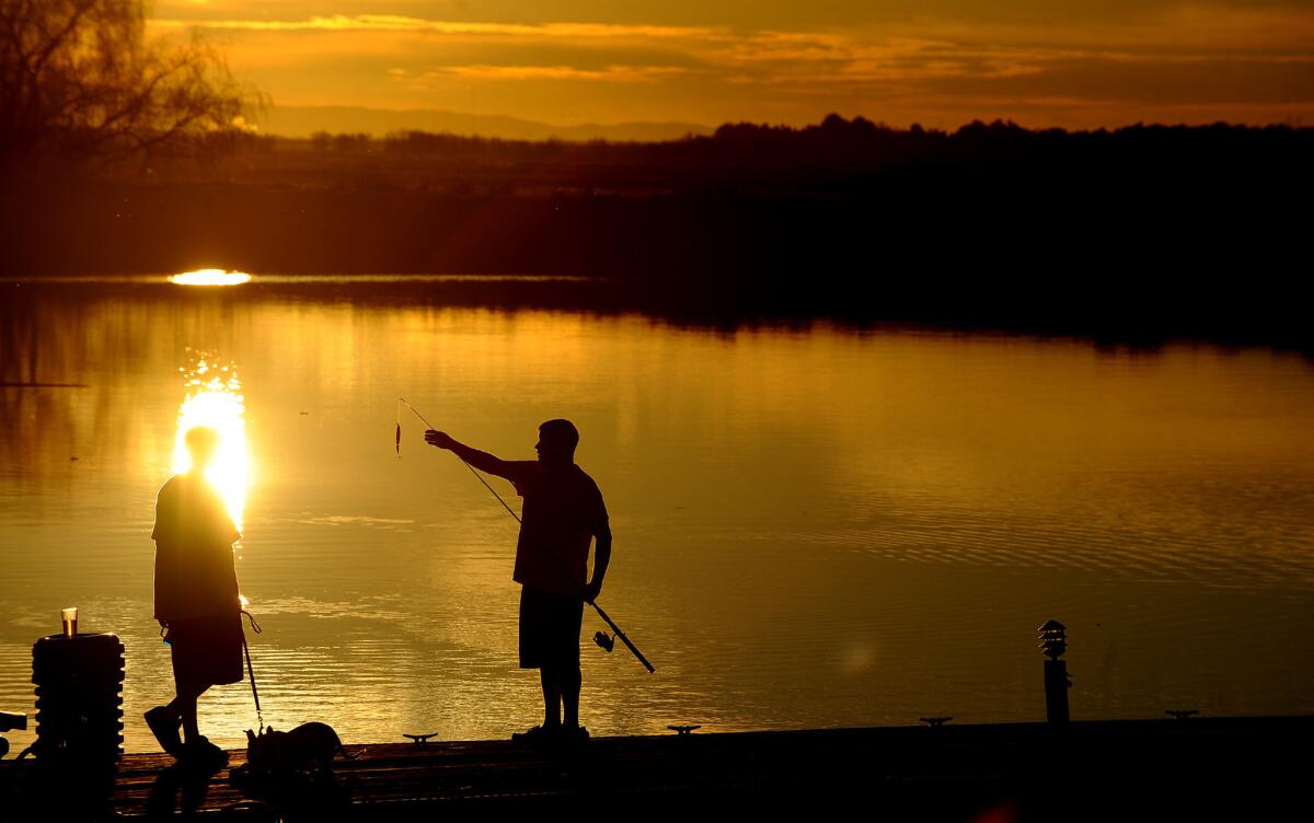 Two young men fish from a marina dock in the Sacramento-San Joaquin Delta. The State Water Resources Control Board has issued a draft cease-and-desist order against an irrigation district that diverts supplies from the delta's Old River.