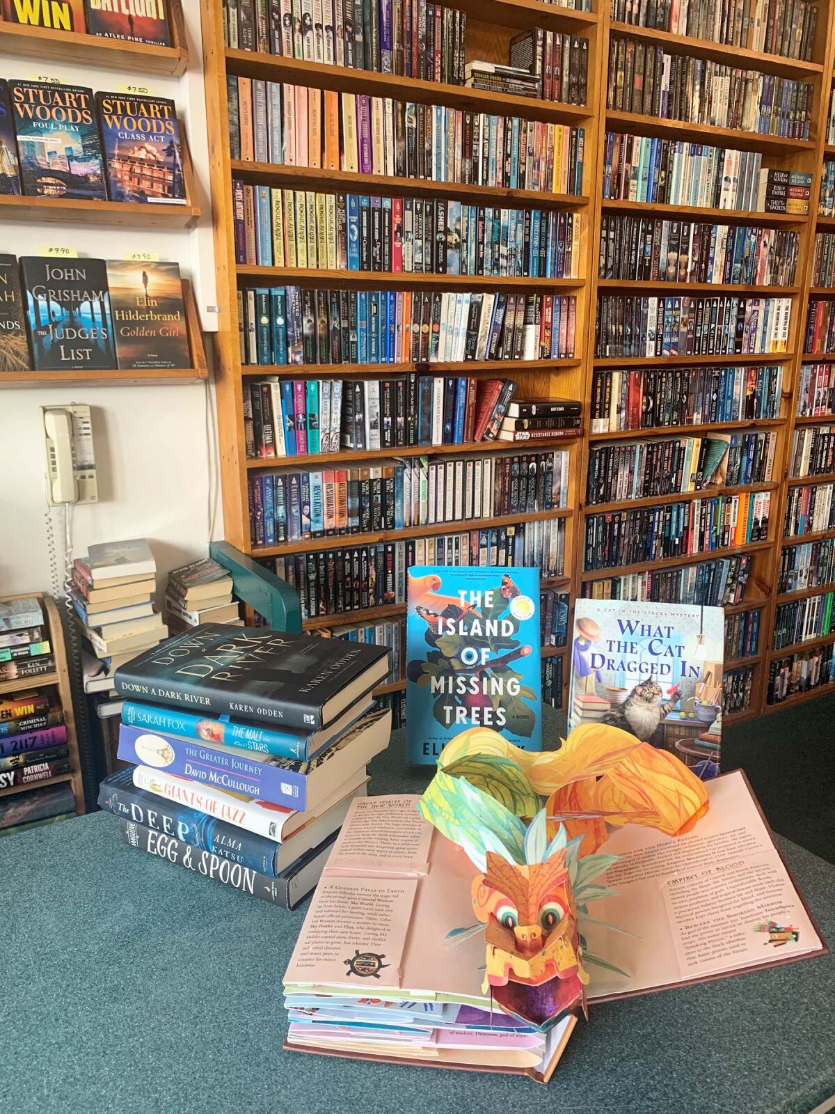 A wide assortment of low-priced books await customers at Pennywise Books in Pacific Beach.