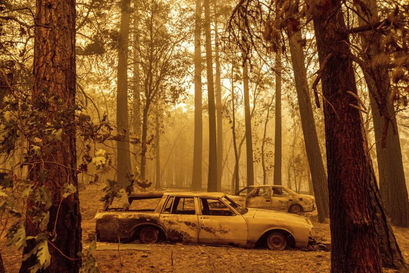 Following the Dixie Fire, scorched cars are seen in a clearing in the Indian Falls community of Plumas County, Calif., on Sunday, July 25, 2021. (AP Photo/Noah Berger)