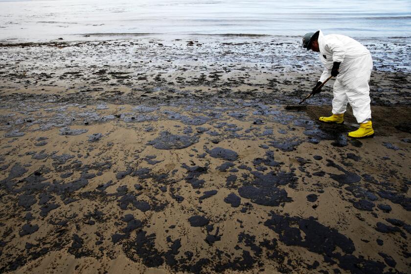 FILE - A worker removes oil from sand at Refugio State Beach, north of Goleta, Calif., on May 21, 2015. A bid by ExxonMobil to restart offshore oil wells shut down in 2015 after a pipeline leak caused the worst coastal spill in 25 years was rejected Tuesday, March 8, 2022, amid lingering environmental concerns. (AP Photo/Jae C. Hong, File, File)