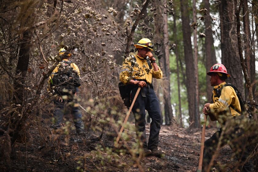 Firefighter hand crews take a break as they put out hot spots and mop up in an area burned in the Dixie Fire, near Twain