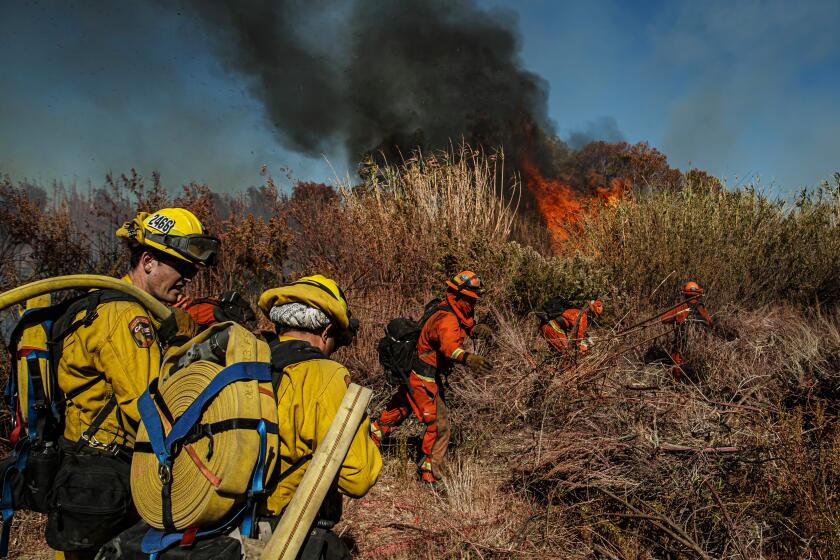 SANTA PAULA, CALIF. -- FRIDAY, NOVEMBER 1, 2019: Inmate firefighters clear brush as they work to slow down the spread of the Maria Fire on the Santa Clara river bed, in Santa Paula, Calif., on Nov. 1, 2019. (Marcus Yam / Los Angeles Times)
