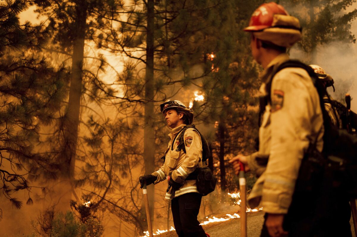 Two firefighters stand with trees and flames in the background