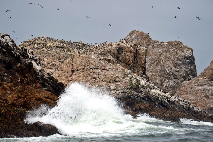 Waves crash ashore on one of the Farallon Islands about 30 miles off the coast of San Francisco.