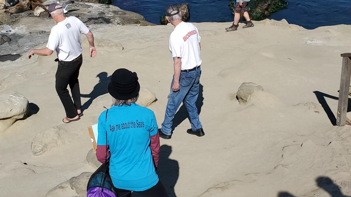 Point La Jolla docents accused of yelling, grabbing and other