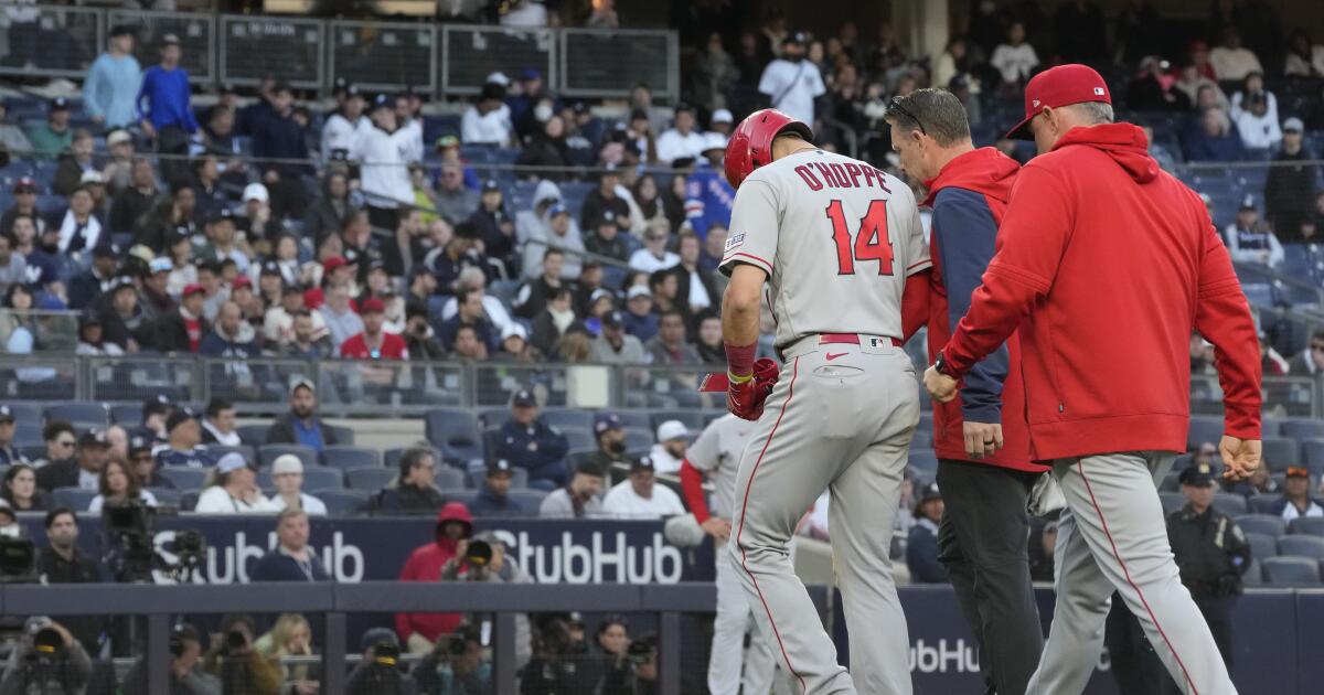 Logan O'Hoppe hurt in Angels' loss to Yankees – Orange County Register