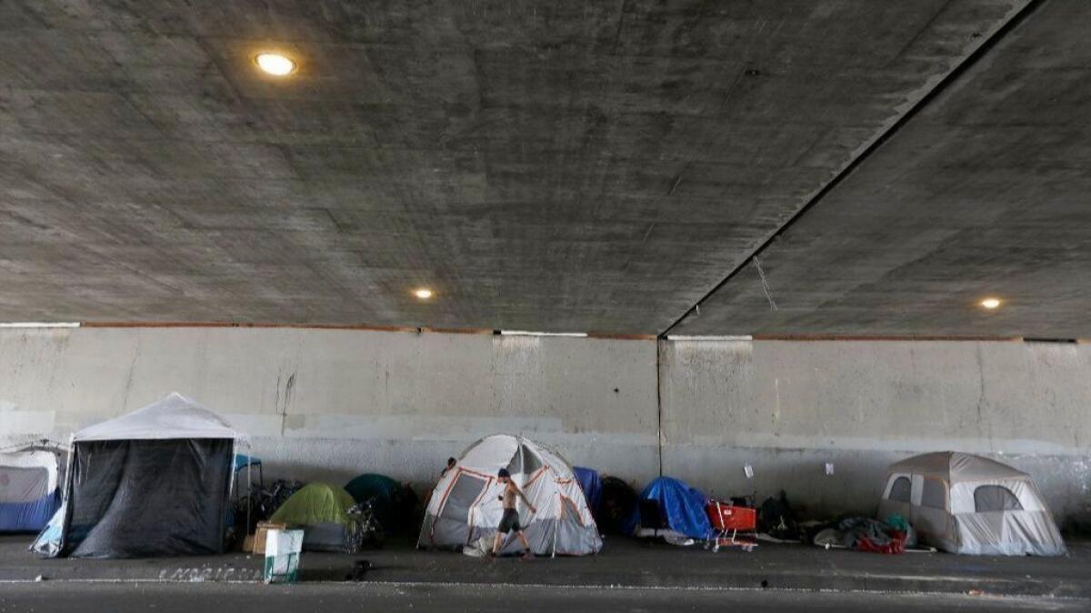 A homeless encampment in Los Angeles under the 405 freeway.