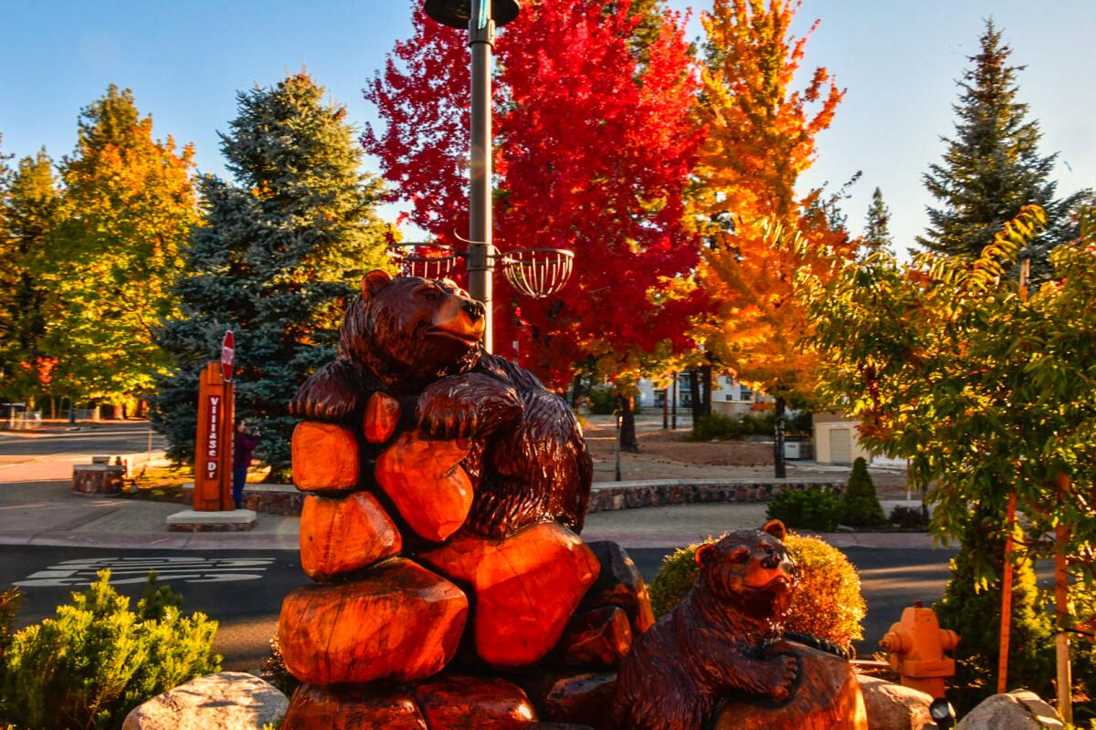 A carved statue of a bear in front of trees with fall foliage