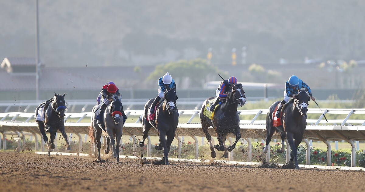 Racing! Del Mar finishes a successful season